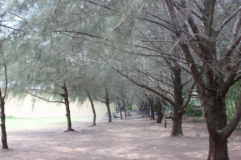 Siba Island Resort Medan Kültér fotó